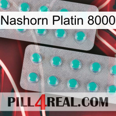 Rhino Platinum 8000 29